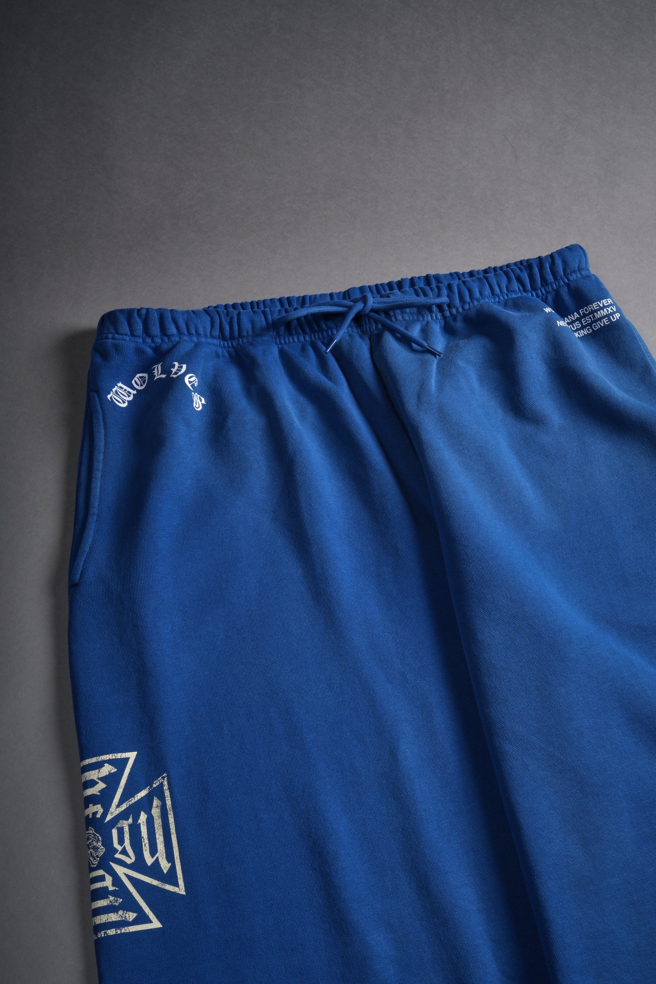 Core Lounger Sweat Pants in Darc Cobalt Drift Wash